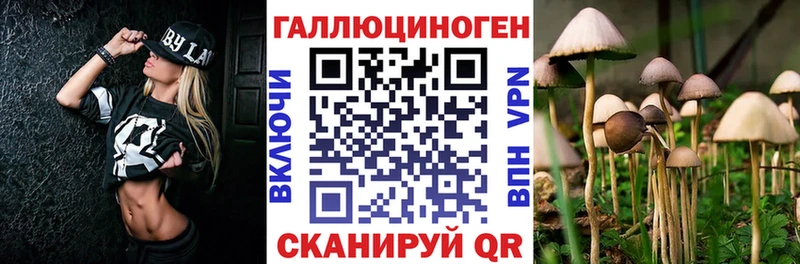 как найти   Лиски  Псилоцибиновые грибы MAGIC MUSHROOMS 