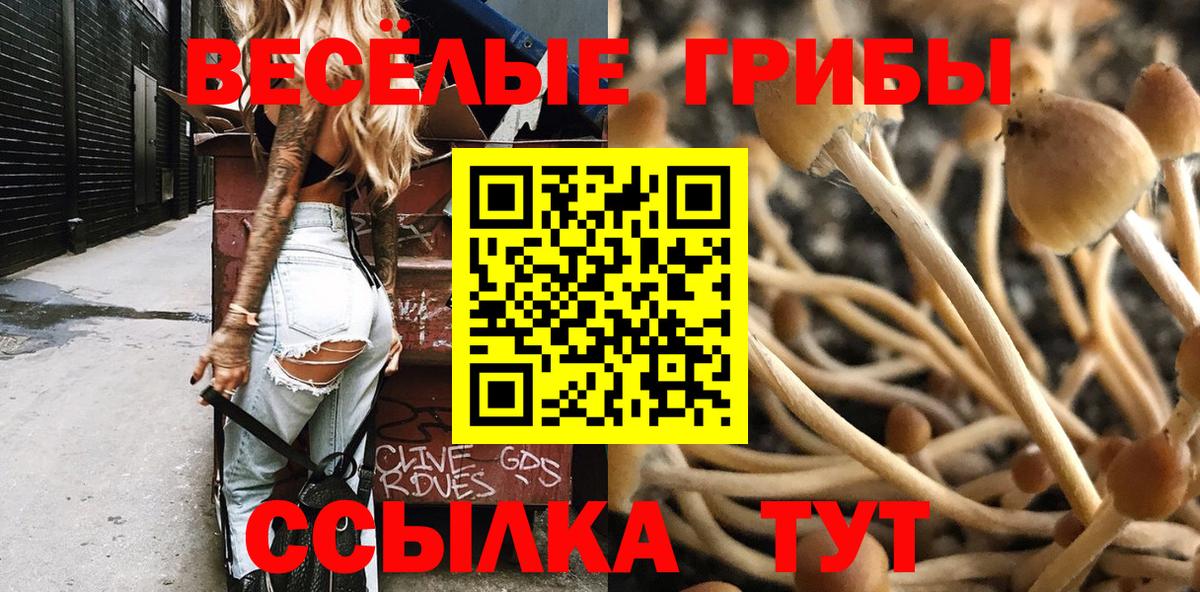 Галлюциногенные грибы Magic Shrooms Лиски